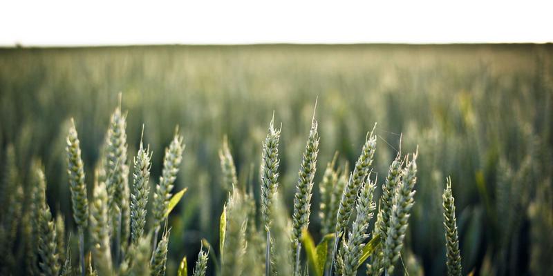 河南华盛科技:以文化为根,以人才为翼,驱动科技创新与技术服务双轮发展